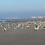 La Bourdonnière - Situé à - 4 Pers - Bord De L'eau - Vue Appartamento Wimereux