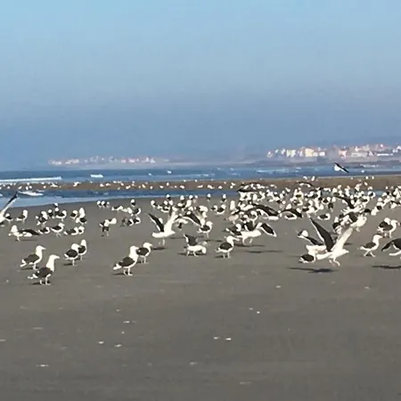 La Bourdonniere - Situe A - 4 Pers - Bord De L'eau - Vue アパート ヴィムルー